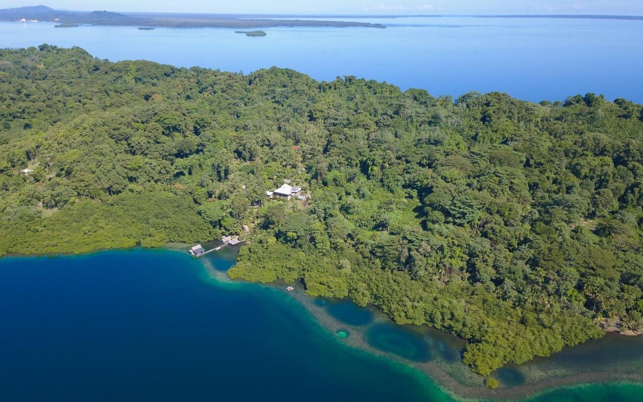 Finca Vela Lodge Bocas del Toro Eksteriør bilde