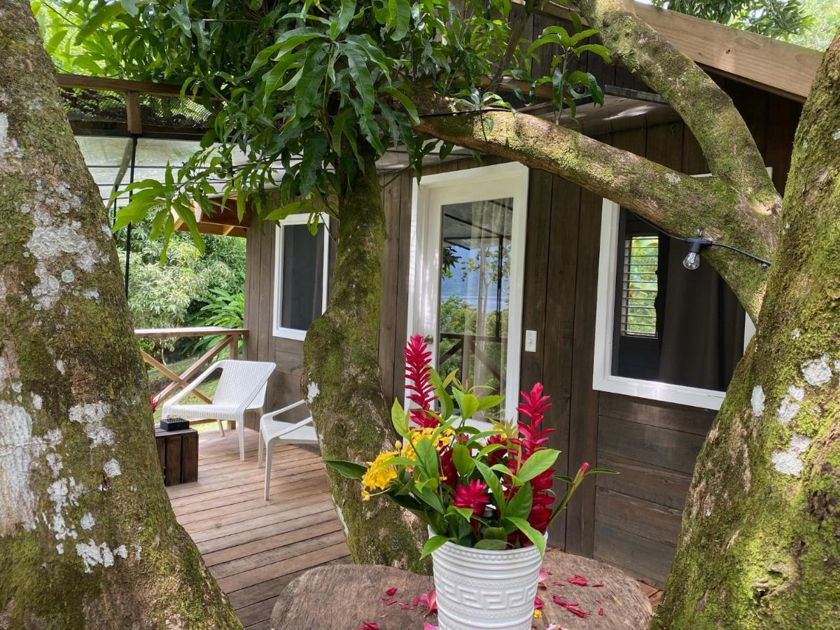Finca Vela Lodge Bocas del Toro Eksteriør bilde