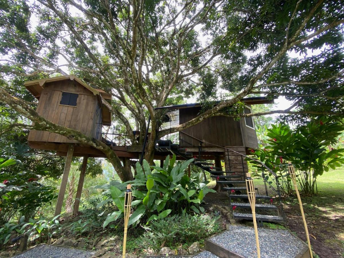 Finca Vela Lodge Bocas del Toro Eksteriør bilde