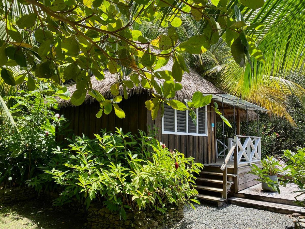 Finca Vela Lodge Bocas del Toro Eksteriør bilde