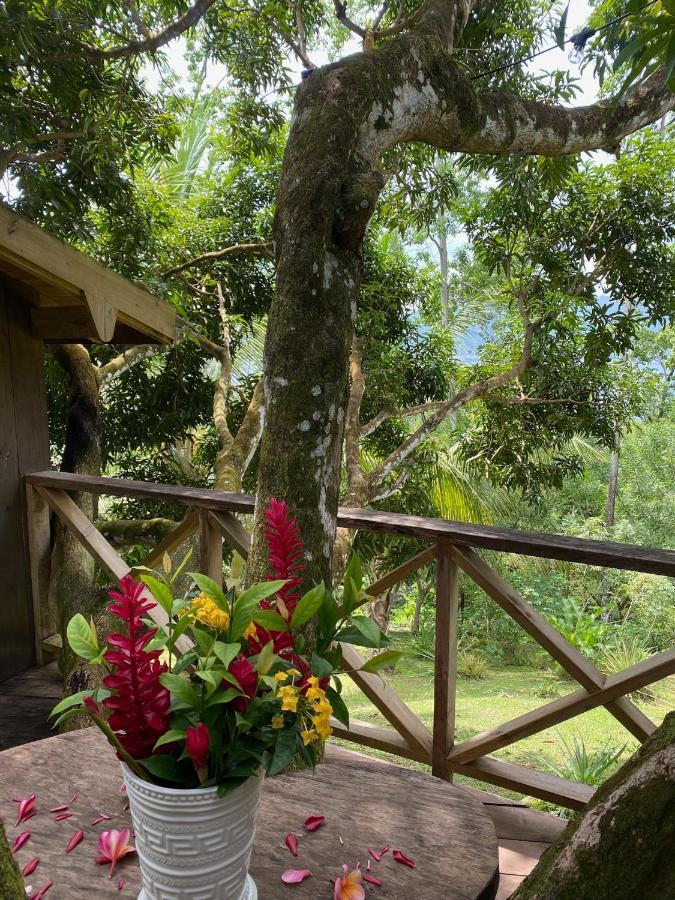 Finca Vela Lodge Bocas del Toro Eksteriør bilde