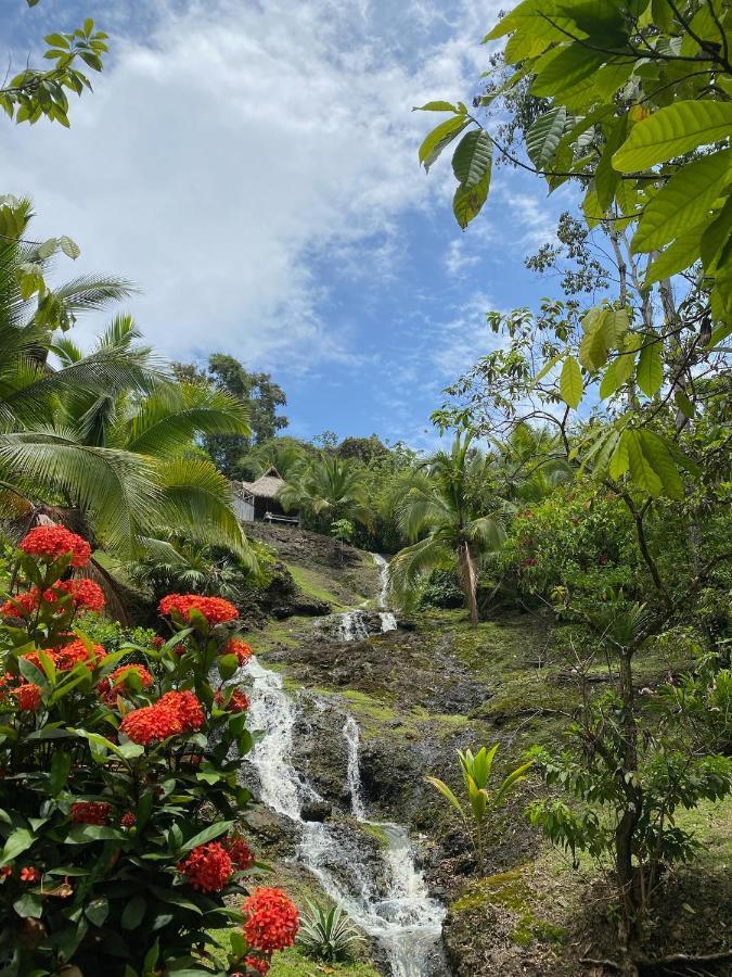 Finca Vela Lodge Bocas del Toro Eksteriør bilde