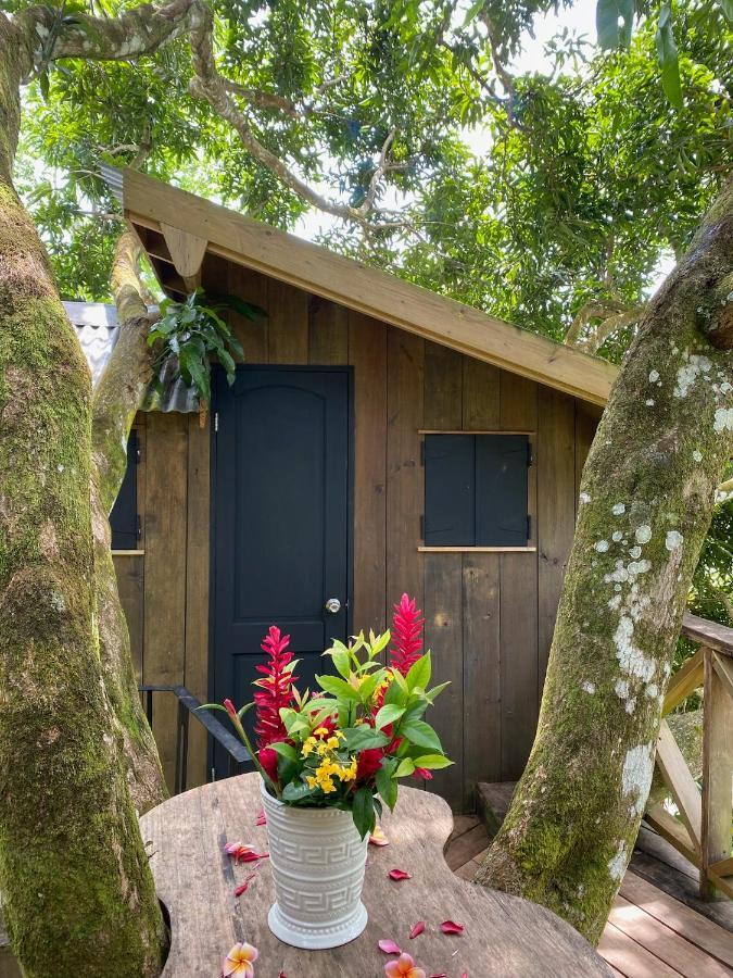 Finca Vela Lodge Bocas del Toro Eksteriør bilde