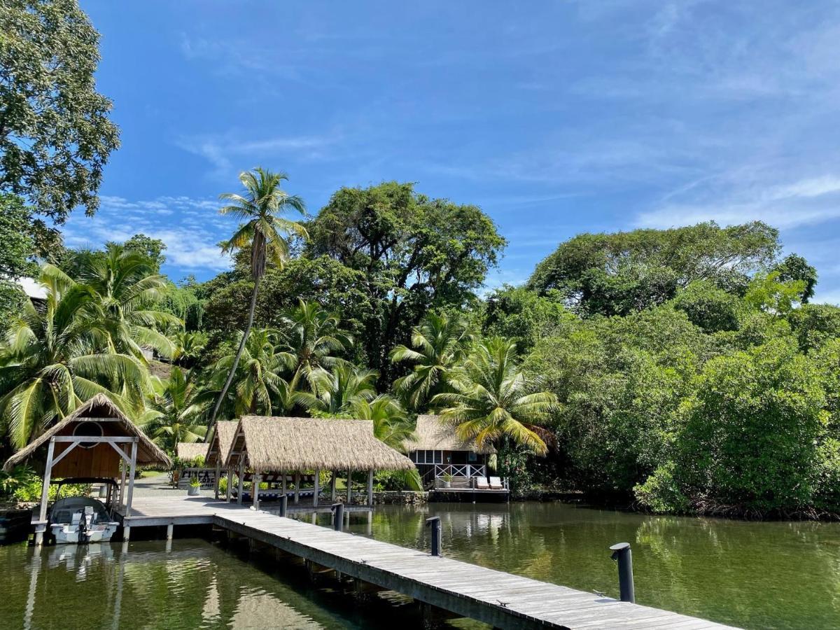 Finca Vela Lodge Bocas del Toro Eksteriør bilde