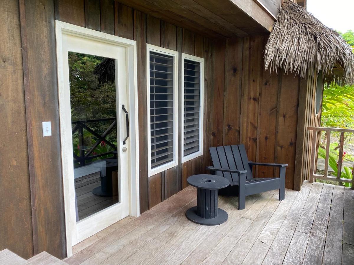 Finca Vela Lodge Bocas del Toro Eksteriør bilde