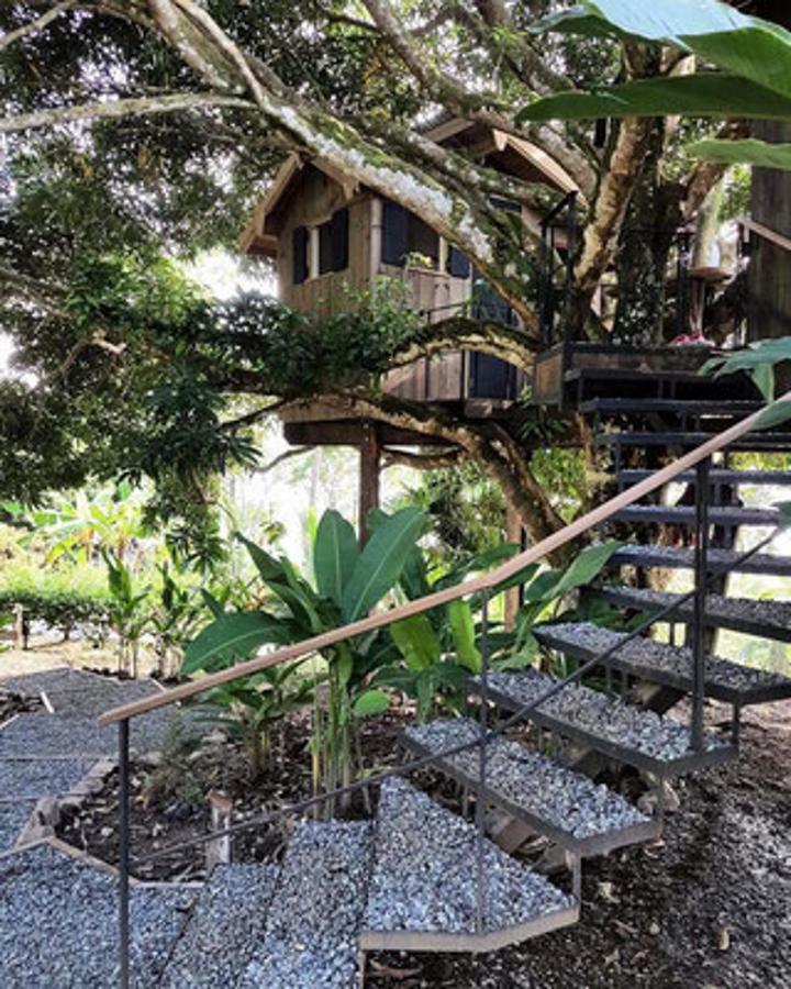 Finca Vela Lodge Bocas del Toro Rom bilde